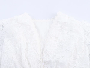 Close-up of white French lace V-neck collar with intricate embroidery and button detail