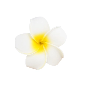 Tropical frangipani flower hair clip with white petals and yellow gradient center