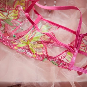 Macro detail of colorful butterfly embroidery on sheer pink lace mesh bra set