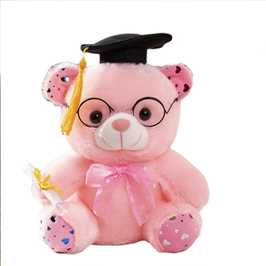 Pink plush graduation teddy bear with black doctoral cap and glasses on white background