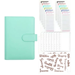 Mint green budget binder kit with A6 PVC zipper pockets and colorful budget sheets