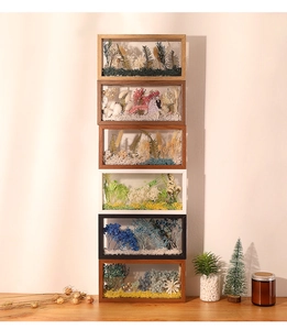 Vertical display of double-sided transparent shadow boxes with dried flower arrangements