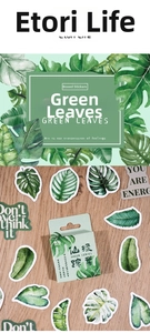 Detail of green leaf forest stickers for scrapbooking in a portable gift box set