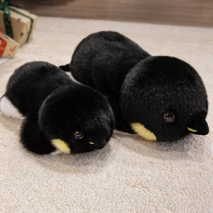 Coppia di peluche di pinguino imperatore in due dimensioni su un tappeto beige morbido