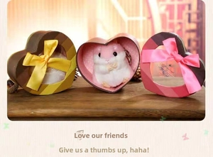 Three plush hamster keychains in colorful heart-shaped window gift boxes with ribbons