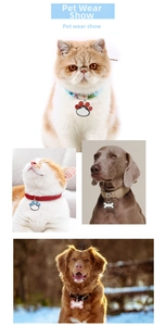 Multiple pet ID tags in bone and paw shapes showing colors and collar fitting on cats