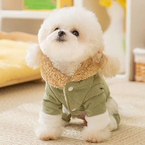 Quilted warm dog winter coat with fleece collar shown on a white Bichon Frise pet