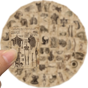 56Pcs vintage anatomy human skeleton stickers for laptops and luggage decoration