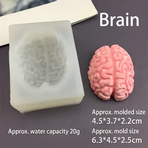 Macro detail of silicone brain mold showing precise dimensions and 20g water capacity