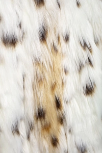 Detailed macro shot showing the soft texture of white faux leopard fur with dark spots