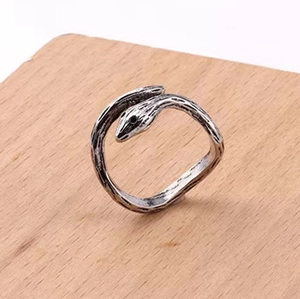 Macro detail of antique silver snake ring showing intricate scale textures and punk style