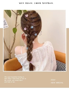 Close-up of matte camellia mini hair claws in macaron colors styled in a braided hairdo