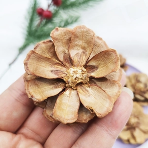 Close-up of a hand holding a natural cedar rose pine cone for Christmas DIY decoration