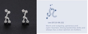 Macro detail of silver Leo zodiac stud earrings featuring sparkling small cubic zirconia