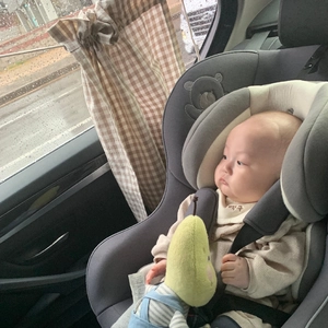 Plaid car window curtain for sun protection with suction cups and plush bear accessory