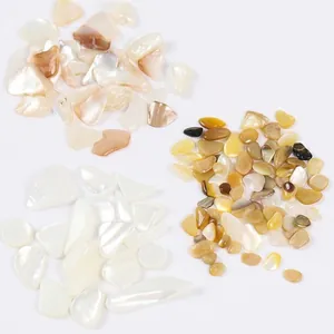 Irregular natural shell flakes for nail art with pearlescent finish in 12 colors