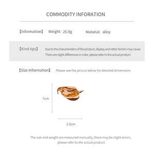Detail specifications of golden leaf brooch showing dimensions and material parameters