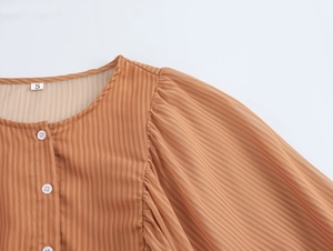 Detailansicht der braun gestreiften Bluse mit Rundhalsausschnitt und Puffärmeln