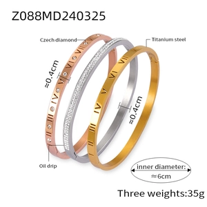 Detailed specs of titanium steel bangles set with Roman numerals and CZ stones