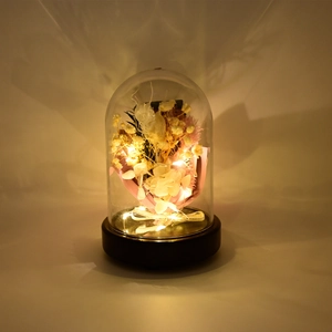 Detail of preserved roses in a glass dome with warm LED fairy lights and a dark base