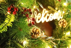 Close-up of Christmas wreath with pine needles, red berries, pine cones and LED lights