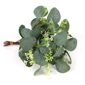 Detailed eucalyptus branch with green round leaves and small white flowers for home decor
