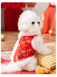 Detail of red Chinese style dog vest with gold plum blossoms and soft faux fur trim