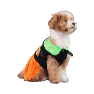 Halloween pumpkin dog dress with black vest, orange velvet skirt and green collar