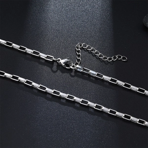 Detailed close-up of a silver stainless steel box chain with lobster clasp and extender