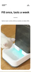 Detail of 1L automatic pet water dispenser with gravity siphon and white cat drinking