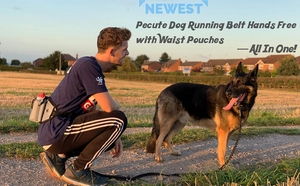 Hands free dog running belt with water bottle pouch used in an outdoor park setting