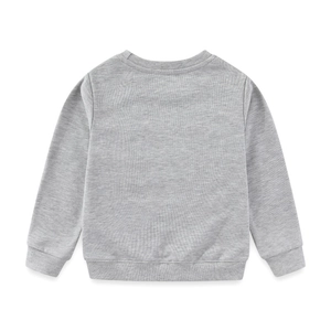 Classic grey long-sleeved crewneck sweatshirt for boys with ribbed cuffs and hem details