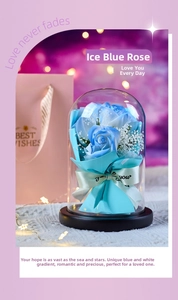Detail of blue preserved rose in glass dome with LED lights and pink gift bag