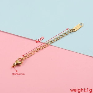 6cm gold stainless steel extension chain with lobster clasp and S.steel tag details