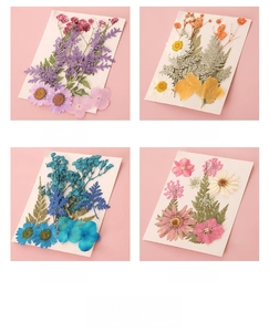 Detail von sortierten bunten Trockenblumen und grünen Blättern auf weißen Karten für DIY