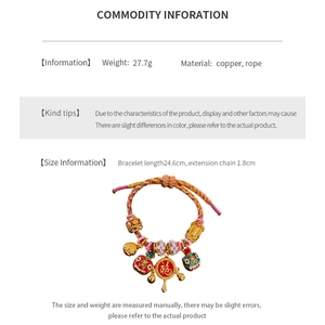 Détail du bracelet en cordon tressé avec breloque Pixiu plaquée or et plaque Fu