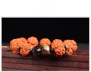 Macro view of Nepal 5-mukhi Rudraksha beads with polished turtle-patterned agate
