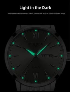 Luminous hands and roman numerals markers on black dial with day-date window display