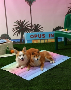 Detalle de una alfombrilla de gel refrescante degradada con costuras horizontales para perros