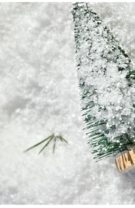Detail of faux snow texture on a mini Christmas tree with a natural wooden base