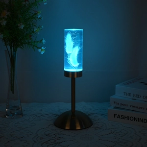 Detail of creative acrylic bedside lamp with white feathers and blue LED light
