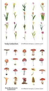 Detail view of 40pcs vintage botanical stickers featuring tulips and scarlet mushrooms