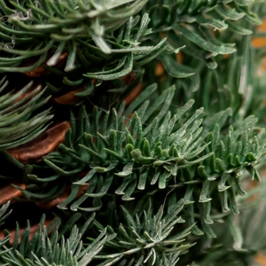 Mini Nordic Artificial Christmas Tree small table decoration with realistic green pine needles