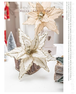 Close-up of cream velvet Christmas poinsettia flower with sparkling gold glitter edges