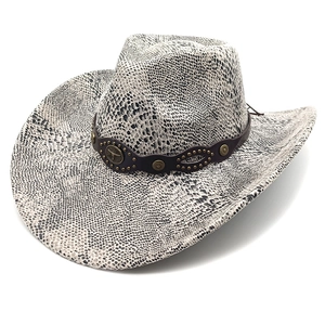 Wide brim western cowboy hat with grey snake print and vintage bull head leather band