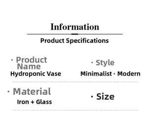 Detailed specifications of the minimalist lantern hydroponic vase in iron and glass