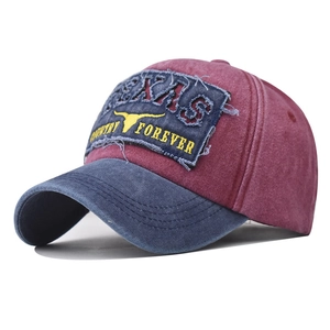 Detail of vintage washed baseball cap with Texas embroidery and cow head patch