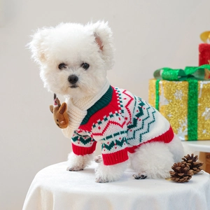 Detail view of pet Christmas knit sweater and reindeer scarf on a white puppy