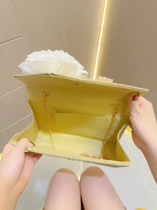 Detail view of the champagne clutch interior with magnetic closure and gold chain strap