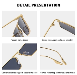 Detail presentation showing metal frame, hinges, nose pads, and temples of sunglasses